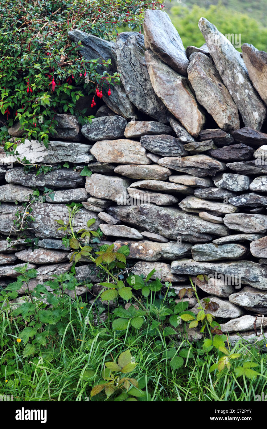 Stone wall ireland fence boundary hires stock photography and images