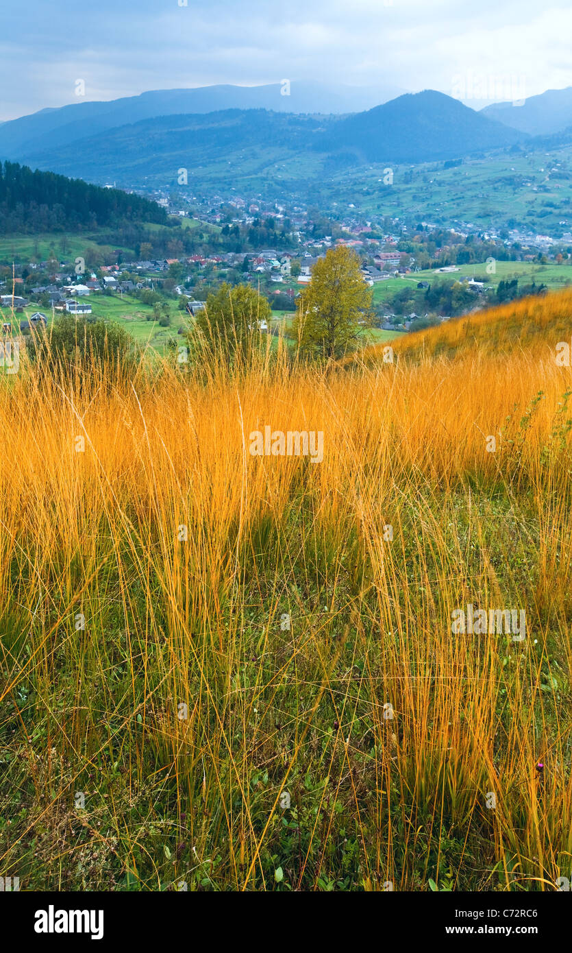 Overcast autumn mountain country landscape and high yellow grass in front(trans-Carpathian, Ukraine). Stock Photo