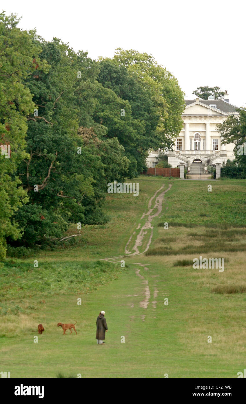 A man walks his dogs in the path leading to the White Lodge in Richmond Park, London Stock Photo
