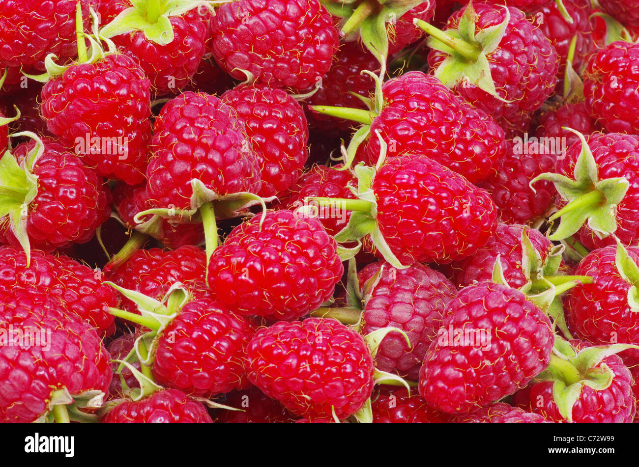 sweet fresh raspberry close up Stock Photo