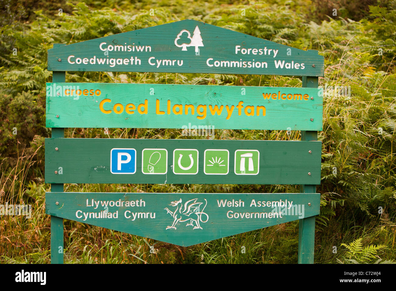 A forestry commission car park on the Clywdian hills near the Pennycloddiau hill fort. North