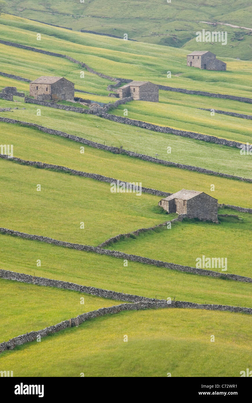 Yorkshire Dales meadows and barns in summer, Yorkshire, UK Stock Photo