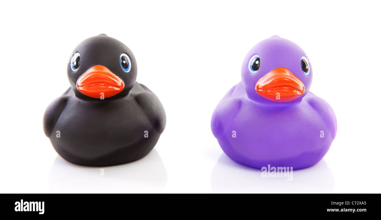 Two rubber ducks isolated on white background Stock Photo - Alamy