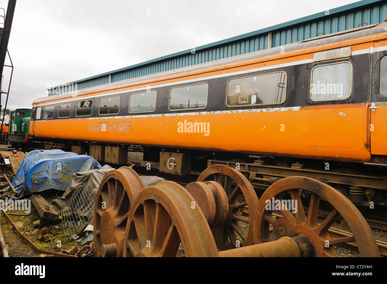 Can You Take Dogs On Trains In Ireland