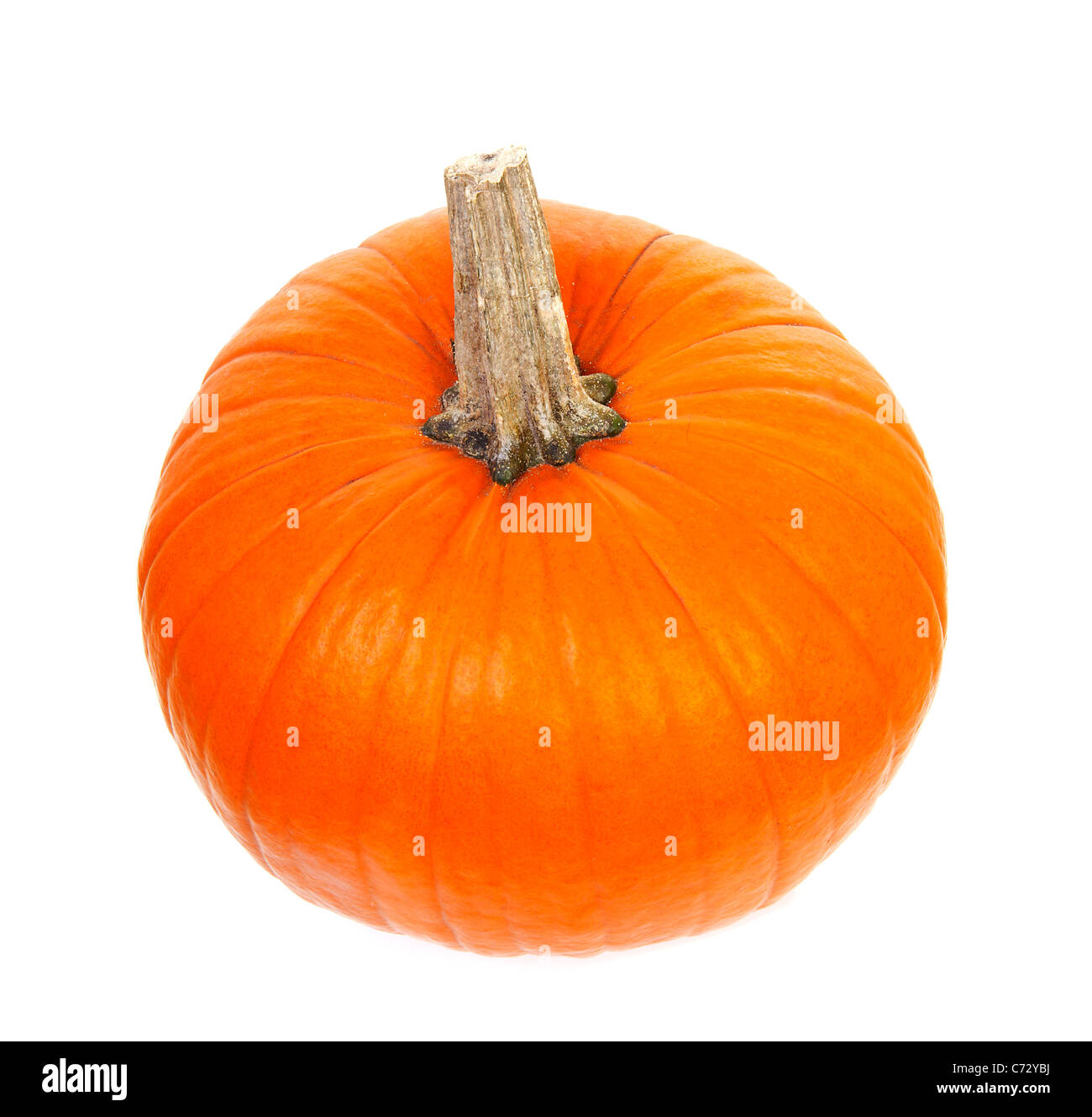 big orange pumpkin isolated on white background Stock Photo - Alamy