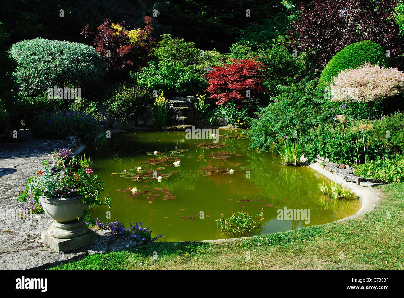 Formal garden pond. Dorset, UK June 2010 Stock Photo