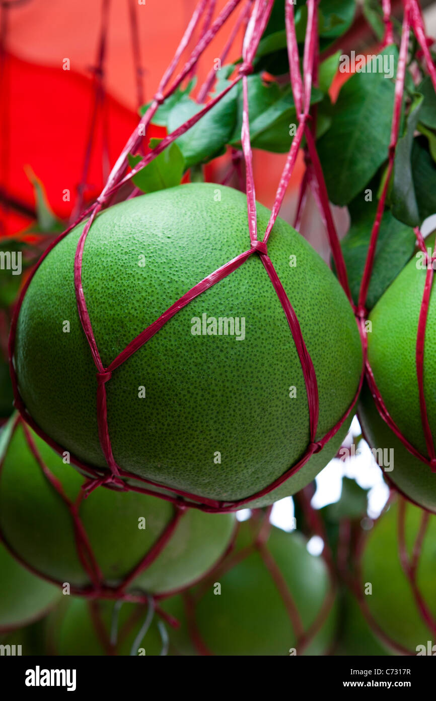 Chinese grapefruit hires stock photography and images Alamy