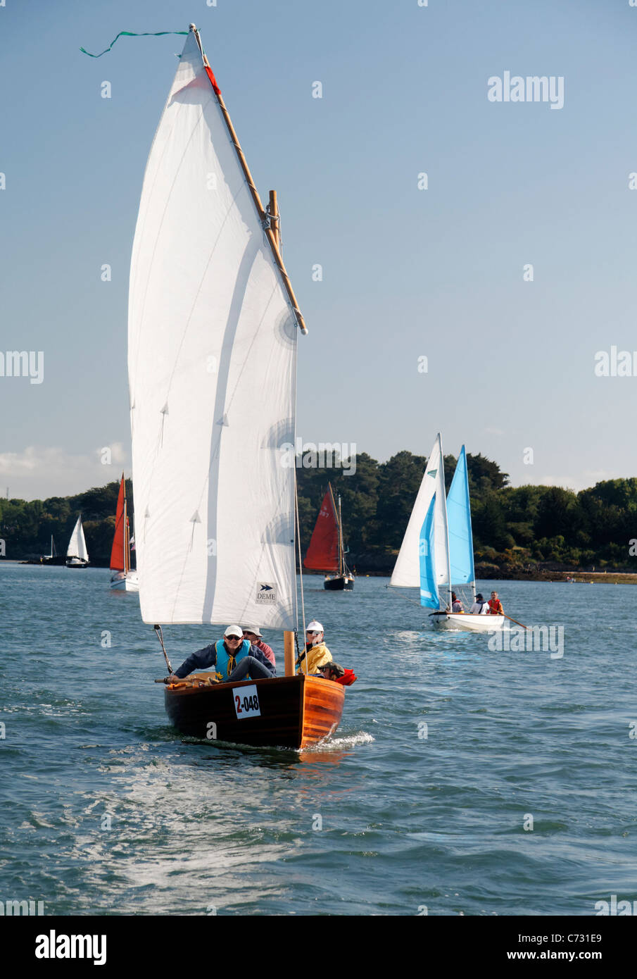 Small sailing ships, regatta, maritime event Week of the gulf of