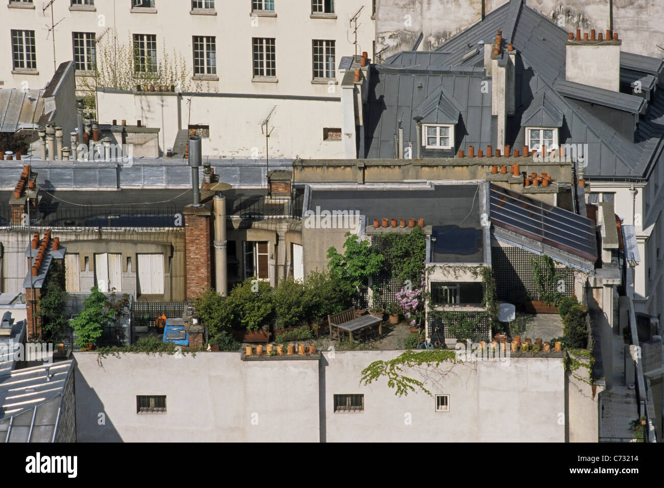 Rooftop terrace garden, rooftops of Paris, Paris, France Stock Photo