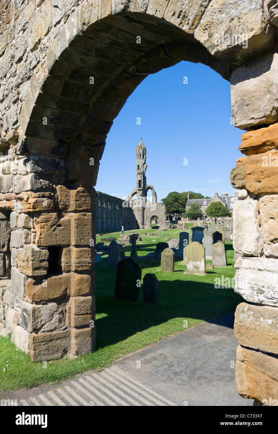 Ruins of St Andrews Cathedral, St Andrews, Fife, Central Scotland, UK Stock Photo