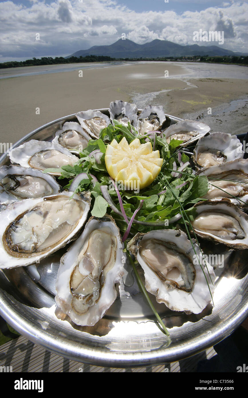 Mourne Sea Food, Dundrum, County Down Stock Photo Alamy