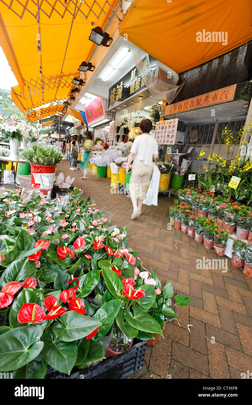 Flowers for sale on Flower Market Road, Mong Kok, Kowloon, Hong Kong