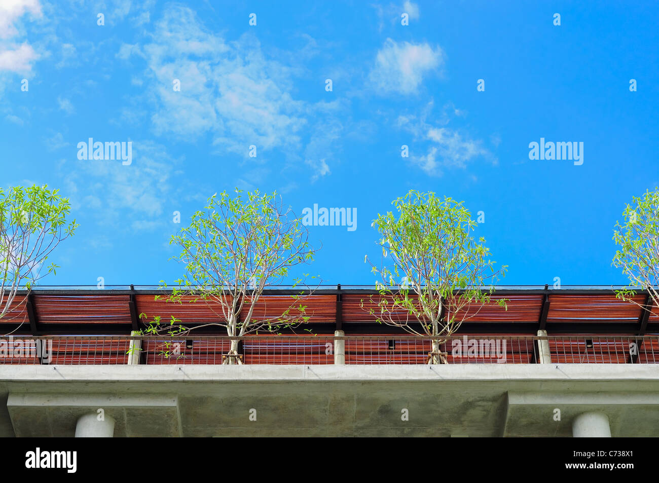 trees on roof deck Stock Photo