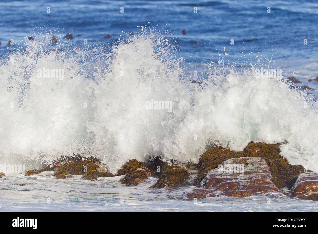 Waves breaking at the Cape of Good Hope in South Africa. Stock Photo