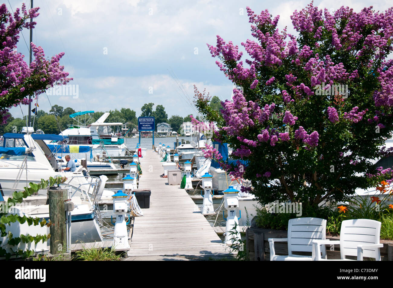 Middle River in Baltimore Maryland USA Stock Photo Alamy