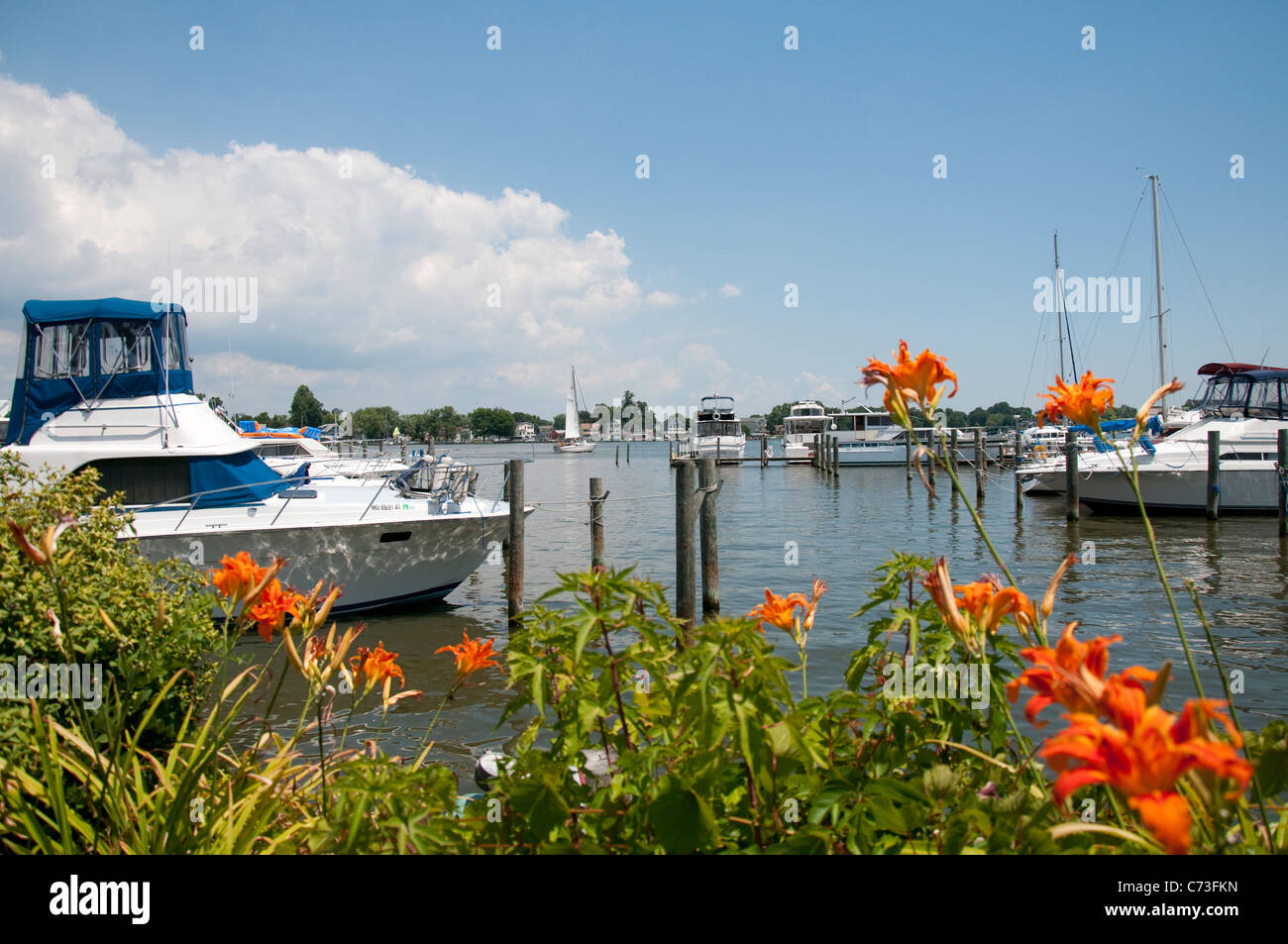 Middle River in Baltimore Maryland USA Stock Photo Alamy
