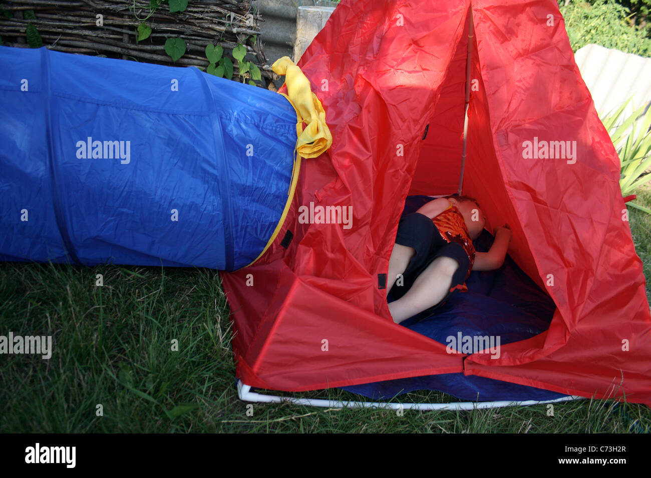 little boy sleeping in camping tent in garden Stock Photo Alamy