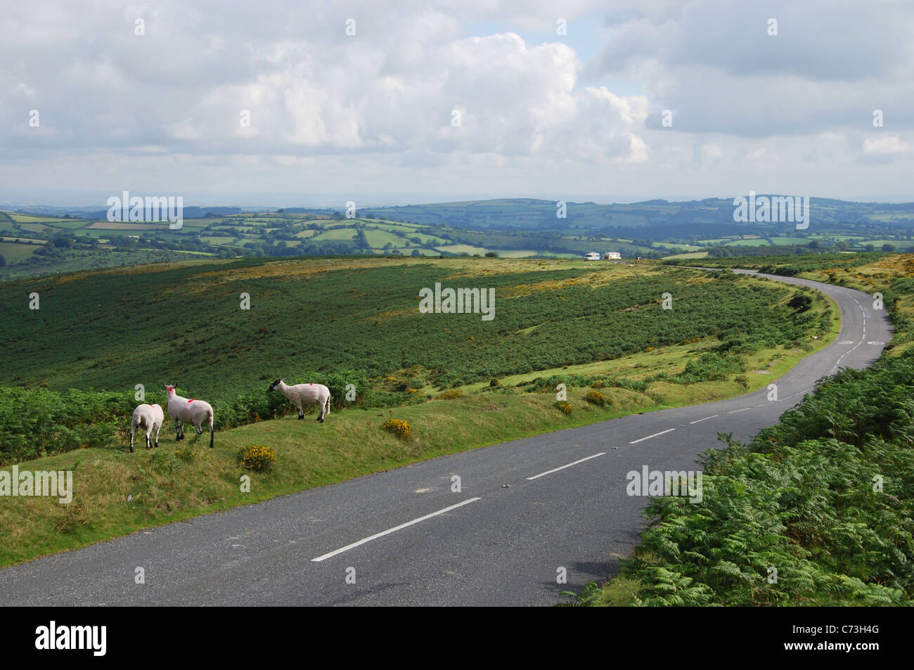 Dartmoor landscape between Postbridge and Moretonhampstead on the B3212 United Kingdom Stock Photo