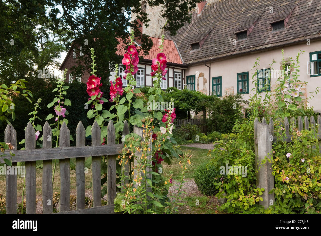 Fischbeck Abbey, Garden of the abbey with hollyhocks, Fischbeck, Hessisch Oldendorf, Lower Saxony, Germany Stock Photo
