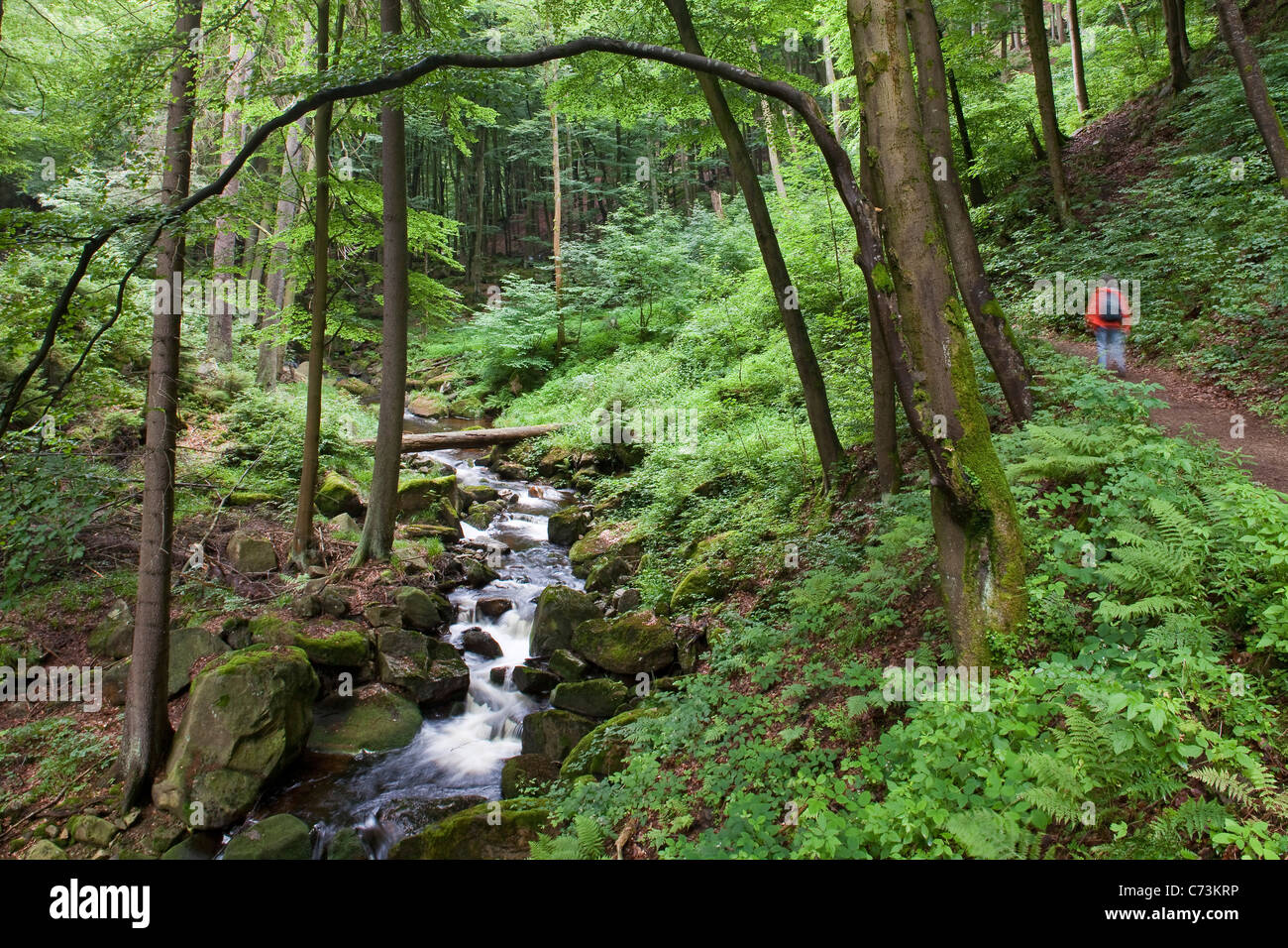 Heinrich Heine walking trail through the Harz Mountains along the Ilse river, Saxony Anhalt, Germany Stock Photo