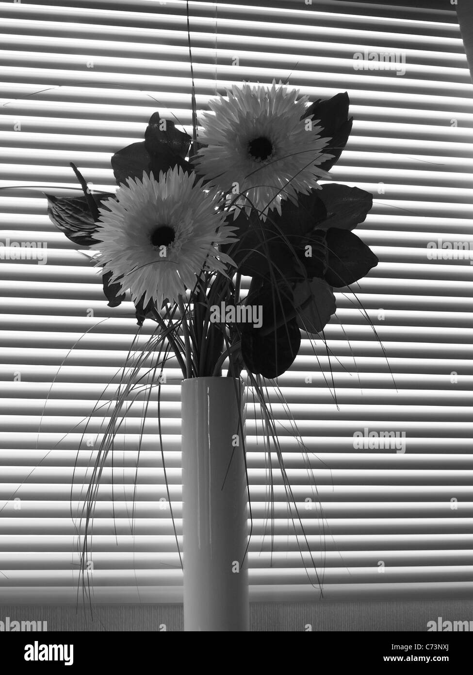 Flower arrangement in blackandwhite Stock Photo