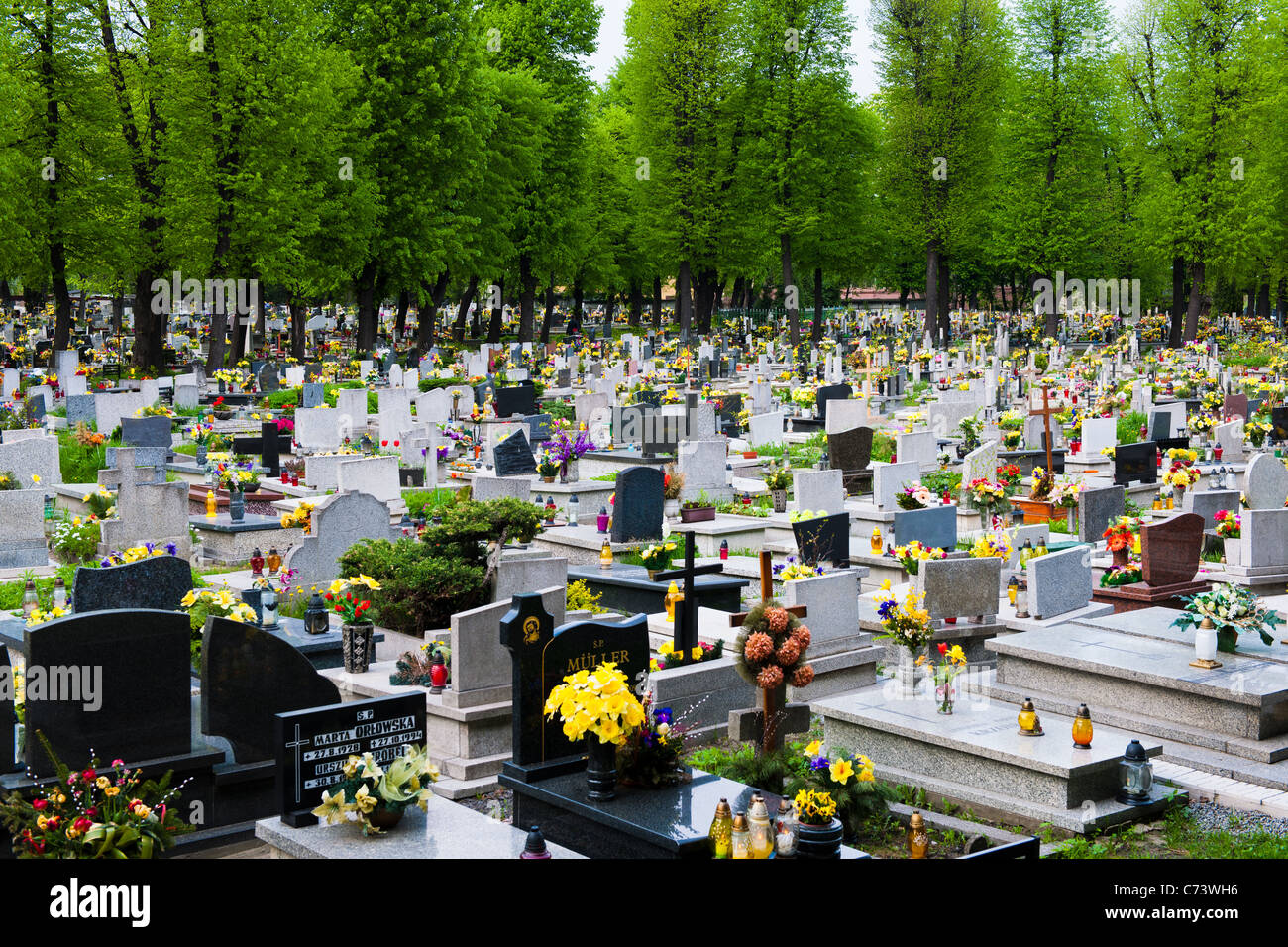 Cemetery and flowers hires stock photography and images Alamy