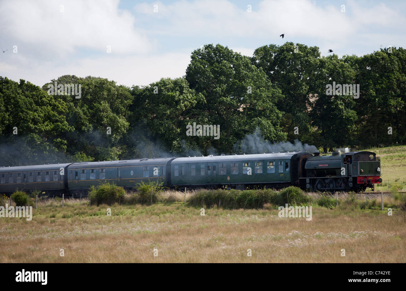 The Kent & East Sussex Railway Stock Photo Alamy