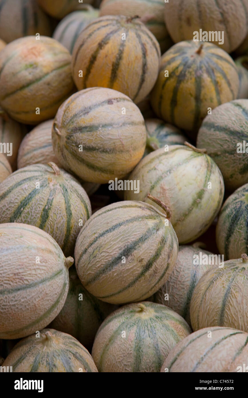 Melons for sale on market stall Stock Photo Alamy
