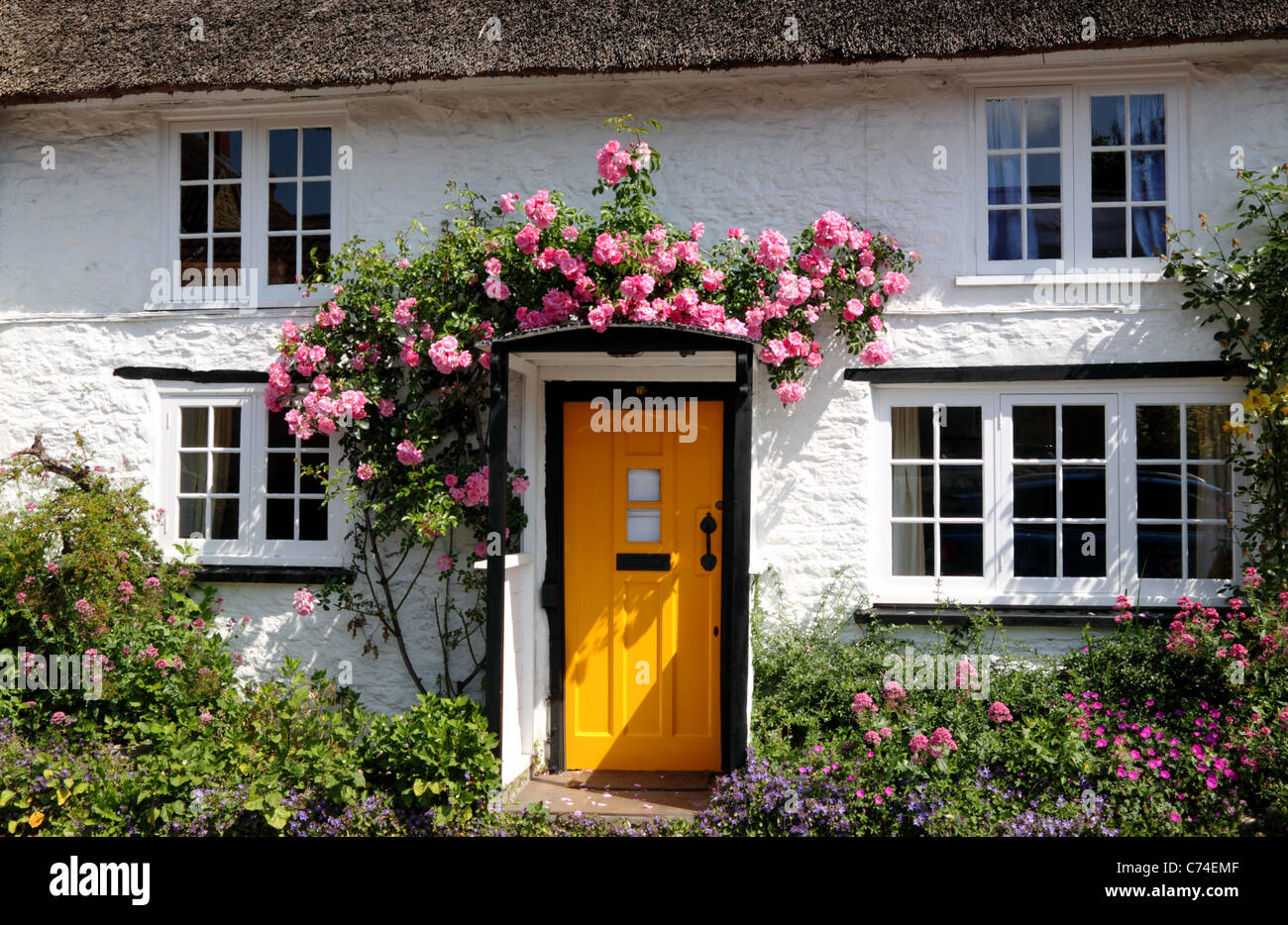 Cottage with yellow door and roses. Stock Photo
