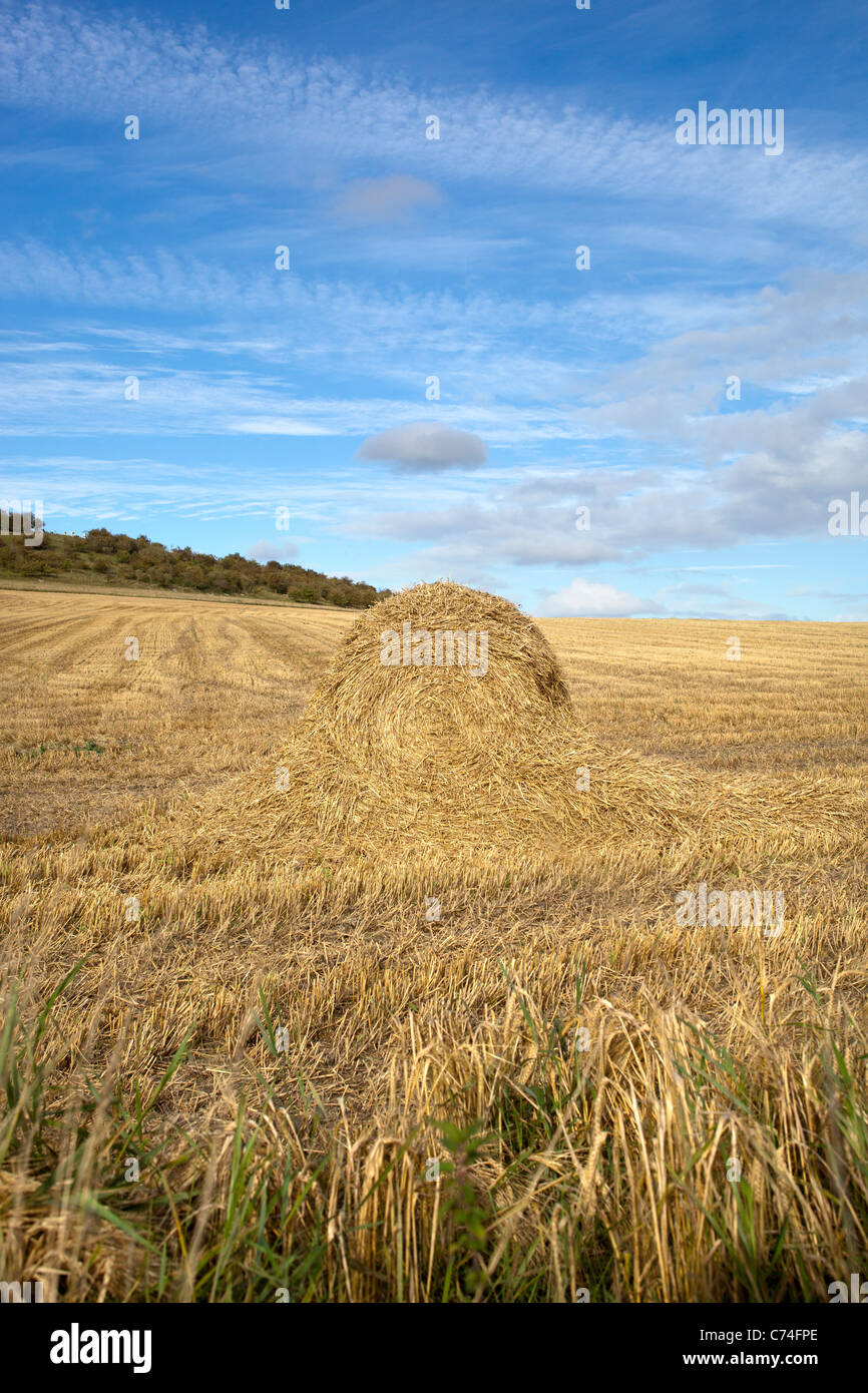 Harvested Wheat Field with Round Bales or Wheels of Hay Stock Photo - Alamy