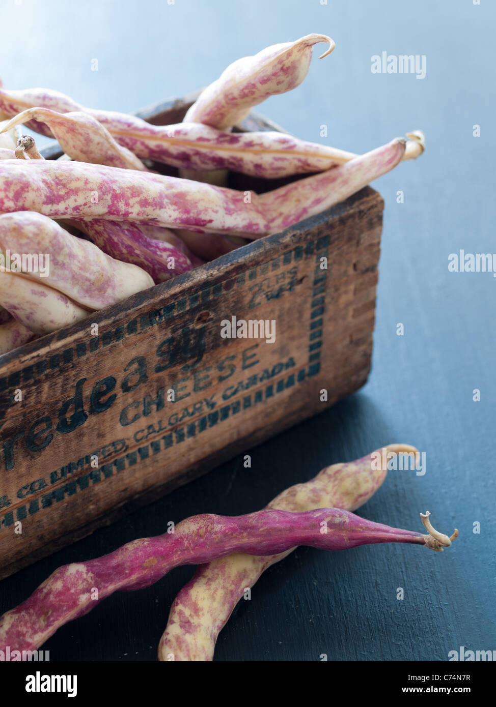 Heirloom cranberry beans in a rustic wooden box Stock Photo