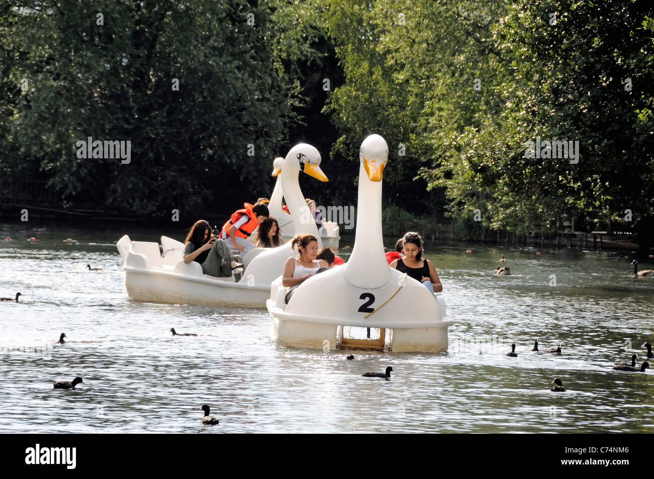 People enjoying themselves in swan shaped pedalos or pedal boats