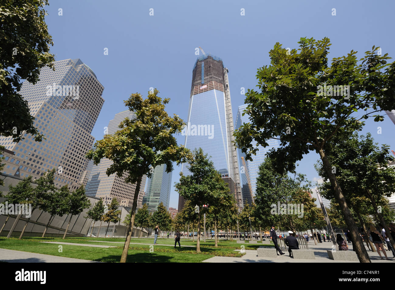 The plaza around the pools at the National September 11 Memorial in New York has been planted with swamp white oak trees. Stock Photo