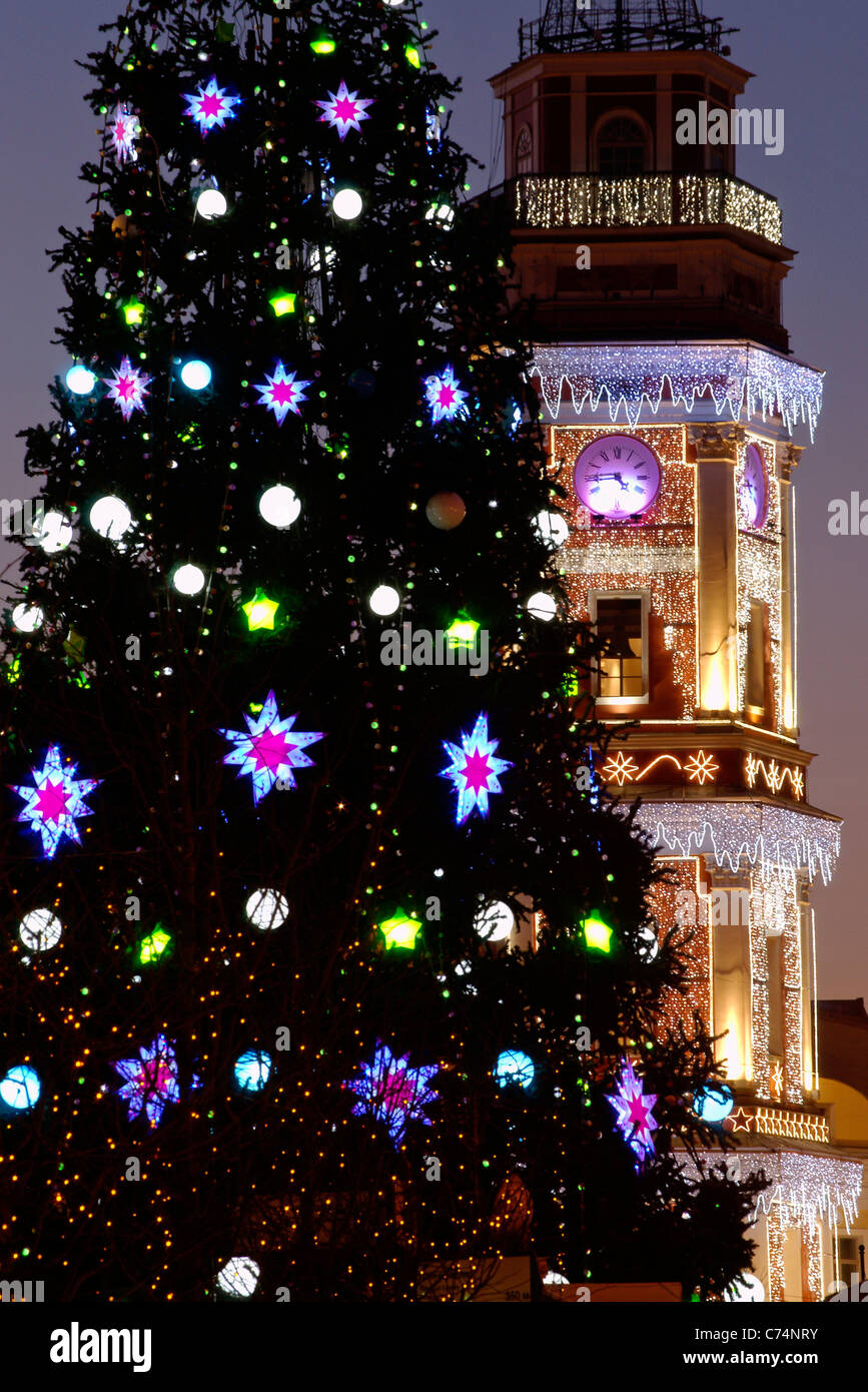 Russia St Petersburg Christmas Tree High Resolution Stock Photography