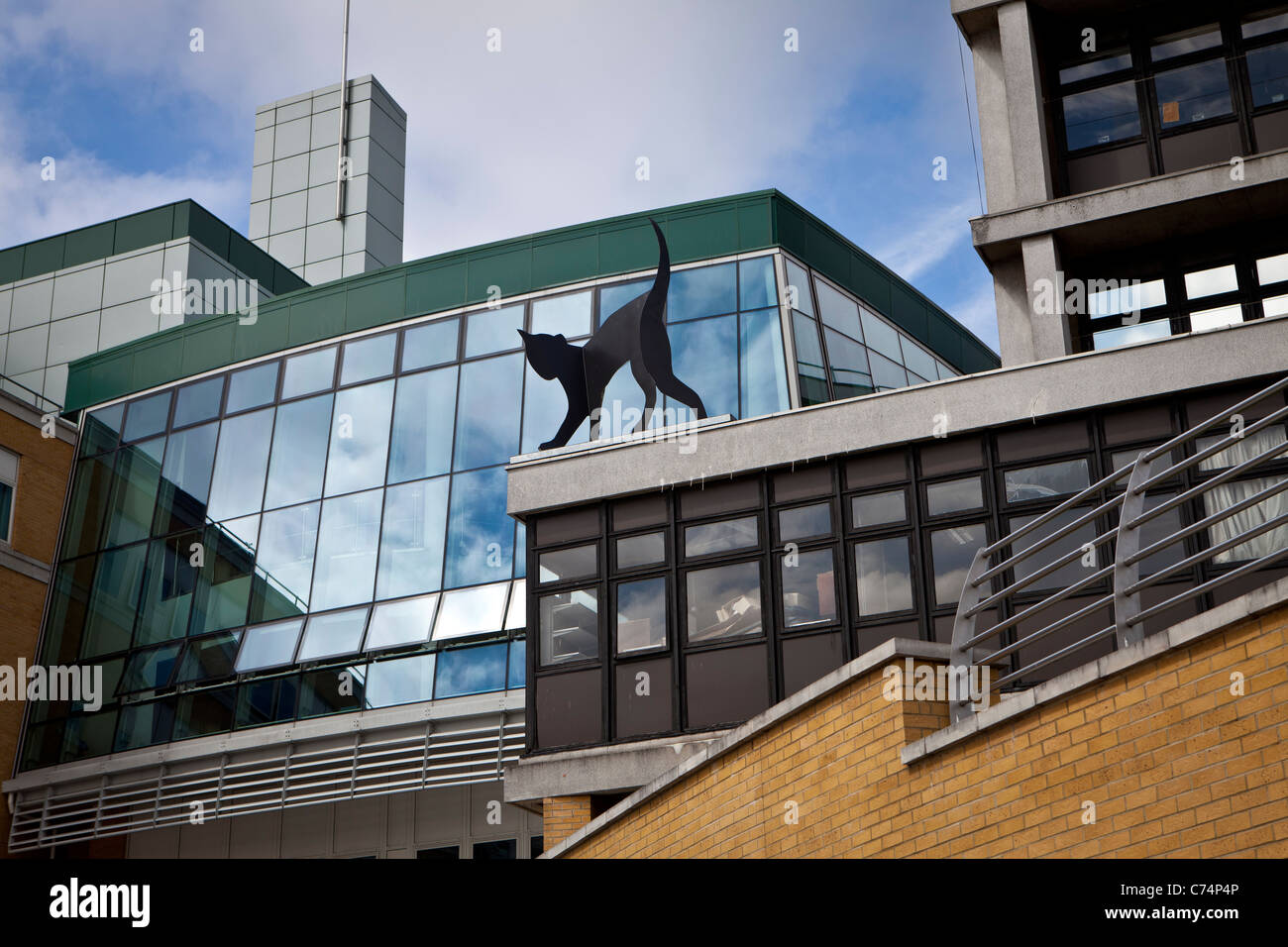 The Whittington Hospital, Archway, London Stock Photo Alamy