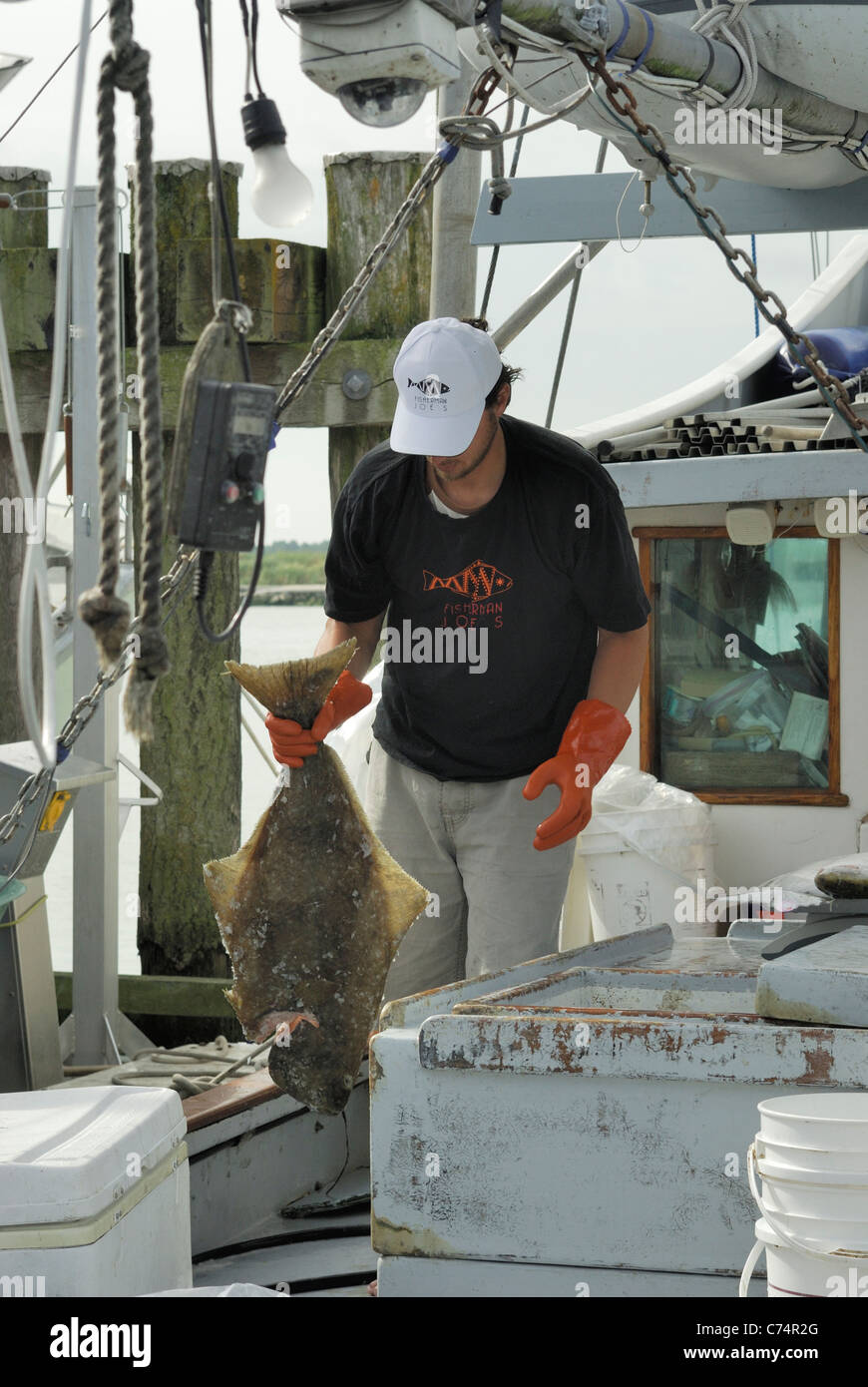 Commercial fish monger holding a freshly caught Hailbut . Stock Photo