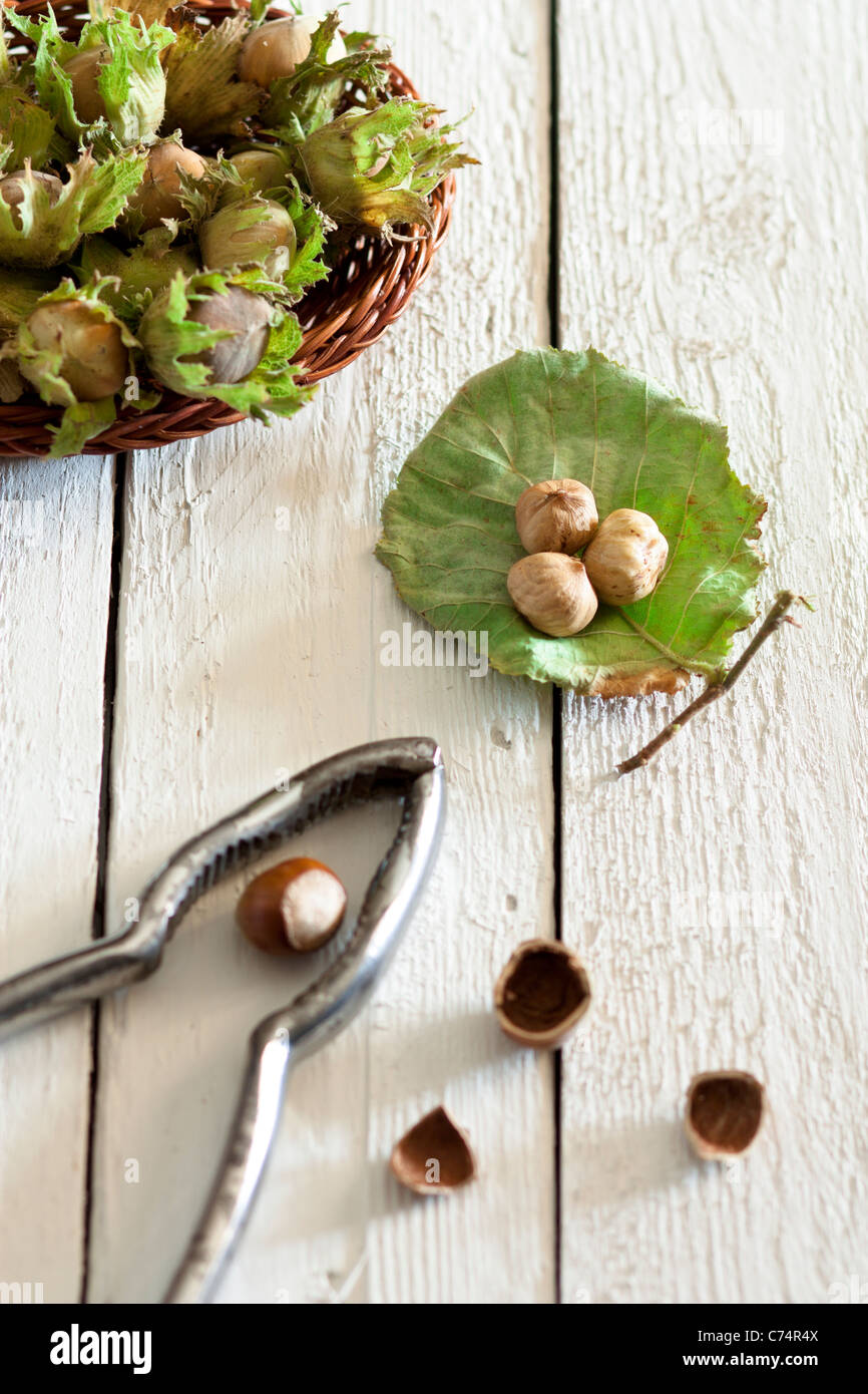 Fresh Unripe Hazelnuts with Nutcracker on White Wood Stock Photo