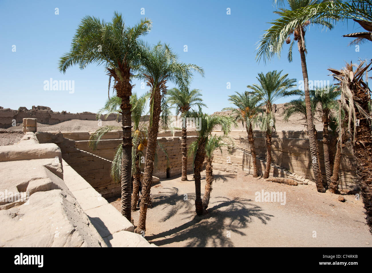Palm trees growing in the site of a sacred lake at an ancient egyptian