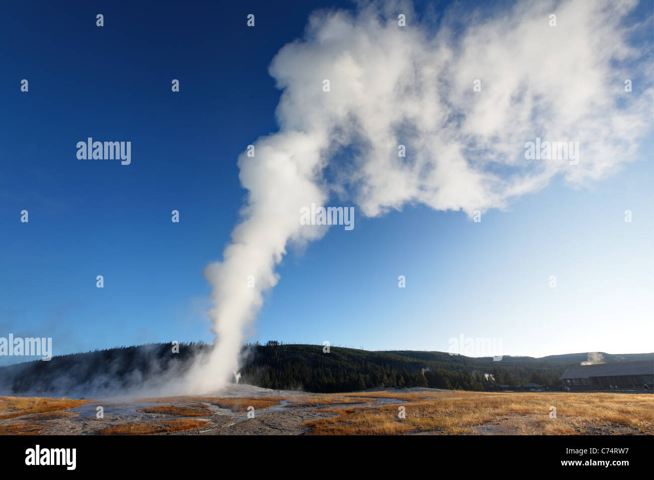 Old Faithful Schedule Eruptions