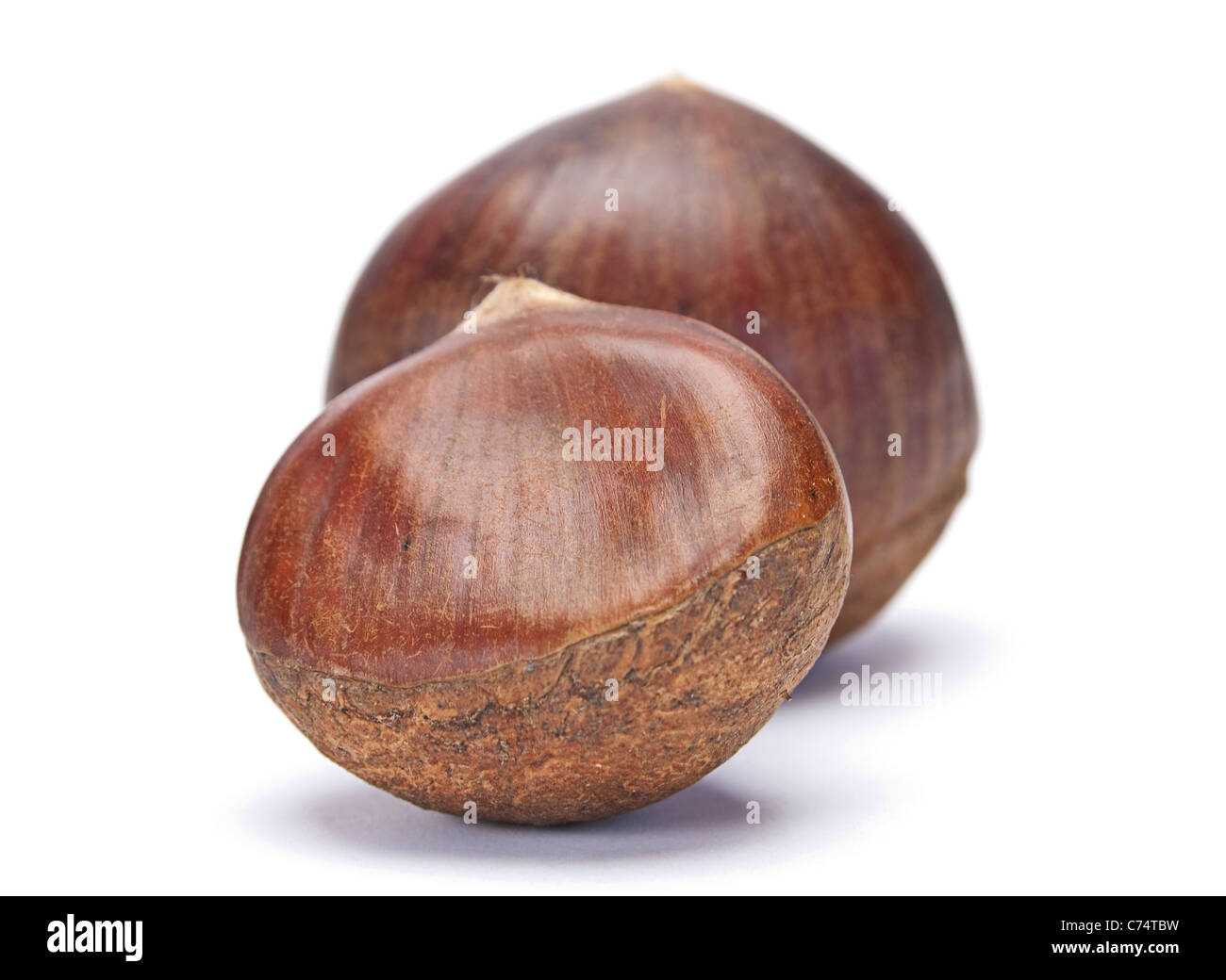 Brown chestnut nut closeup isolated on white background Stock Photo