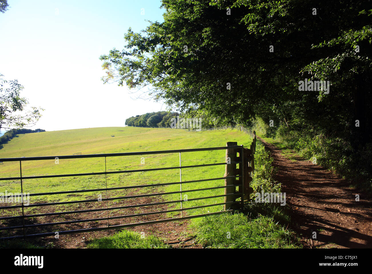 North Downs Way Above East Brabourne Ashford Kent England Stock north-downs-way-above-east-brabourne-ashford-kent-england-stock
