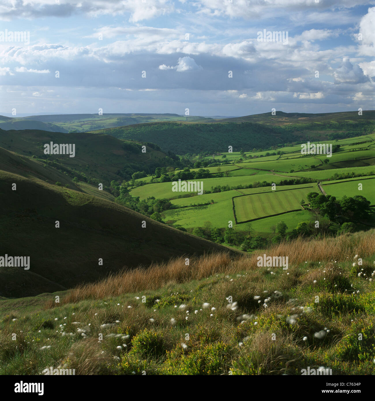 Green fields and a rural scene of the area around South Head Farm in