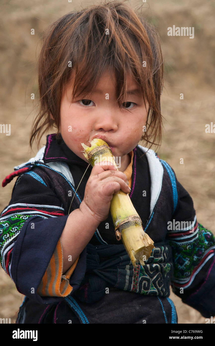 Eating Sugar Cane