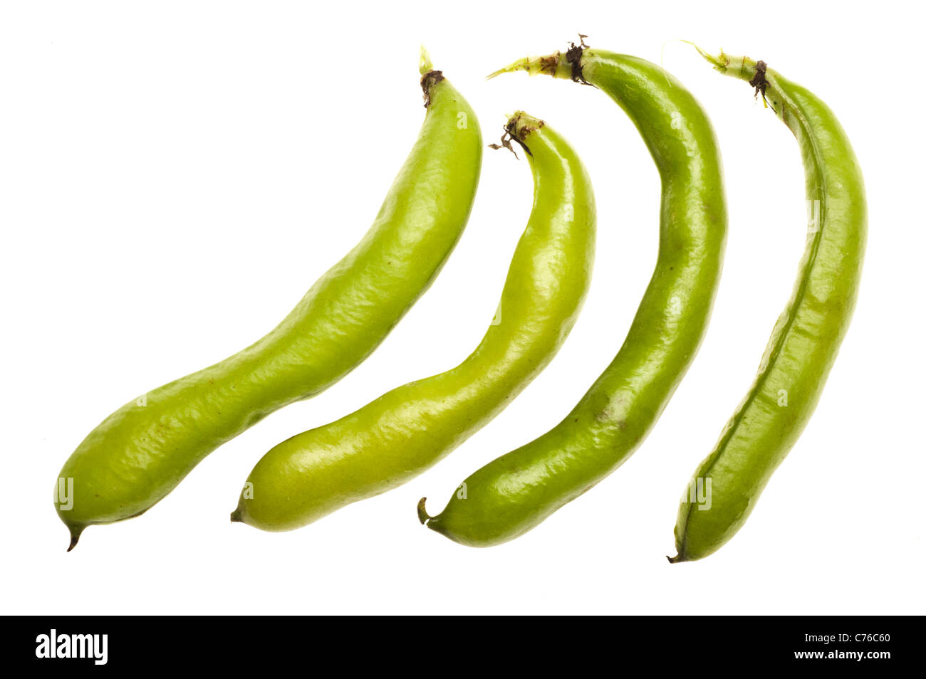 Four fresh Broad beans pods Stock Photo
