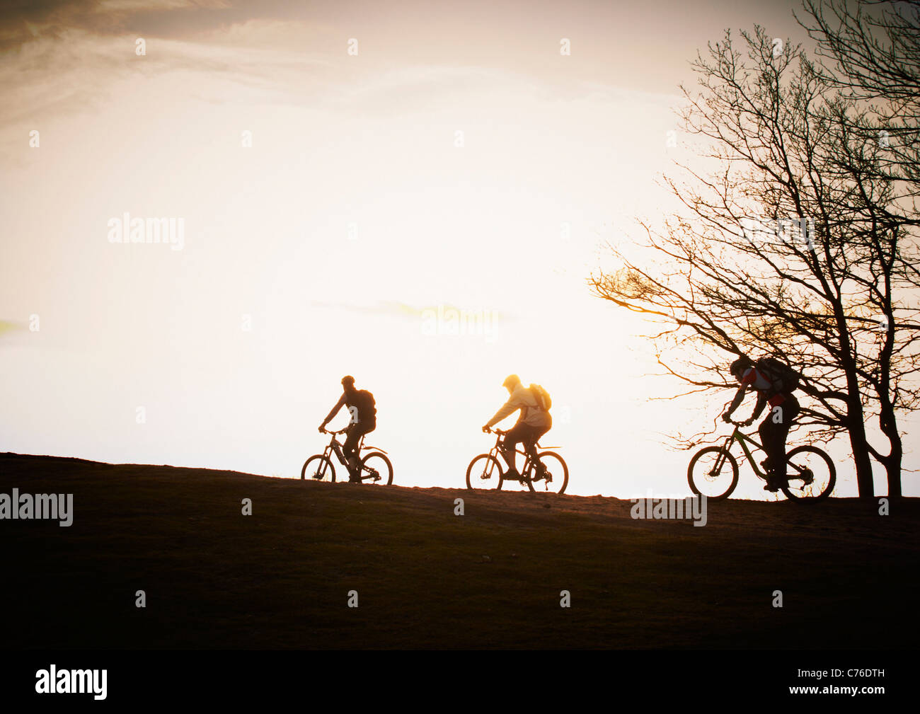 silhouette of three mountain bikers in sun set Stock Photo