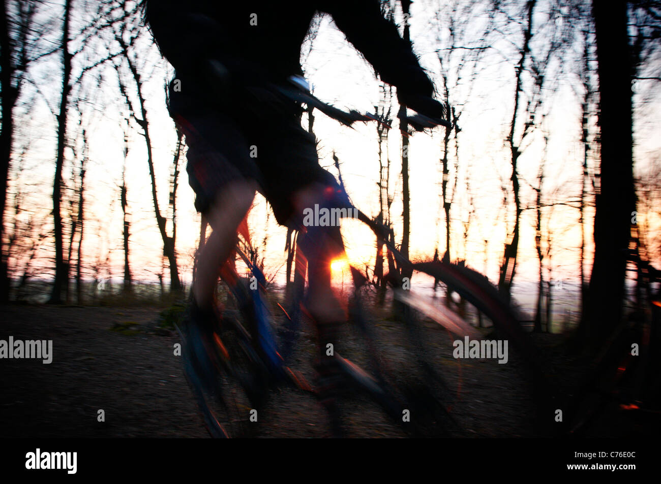 Mountain biker in trees at sunset Stock Photo