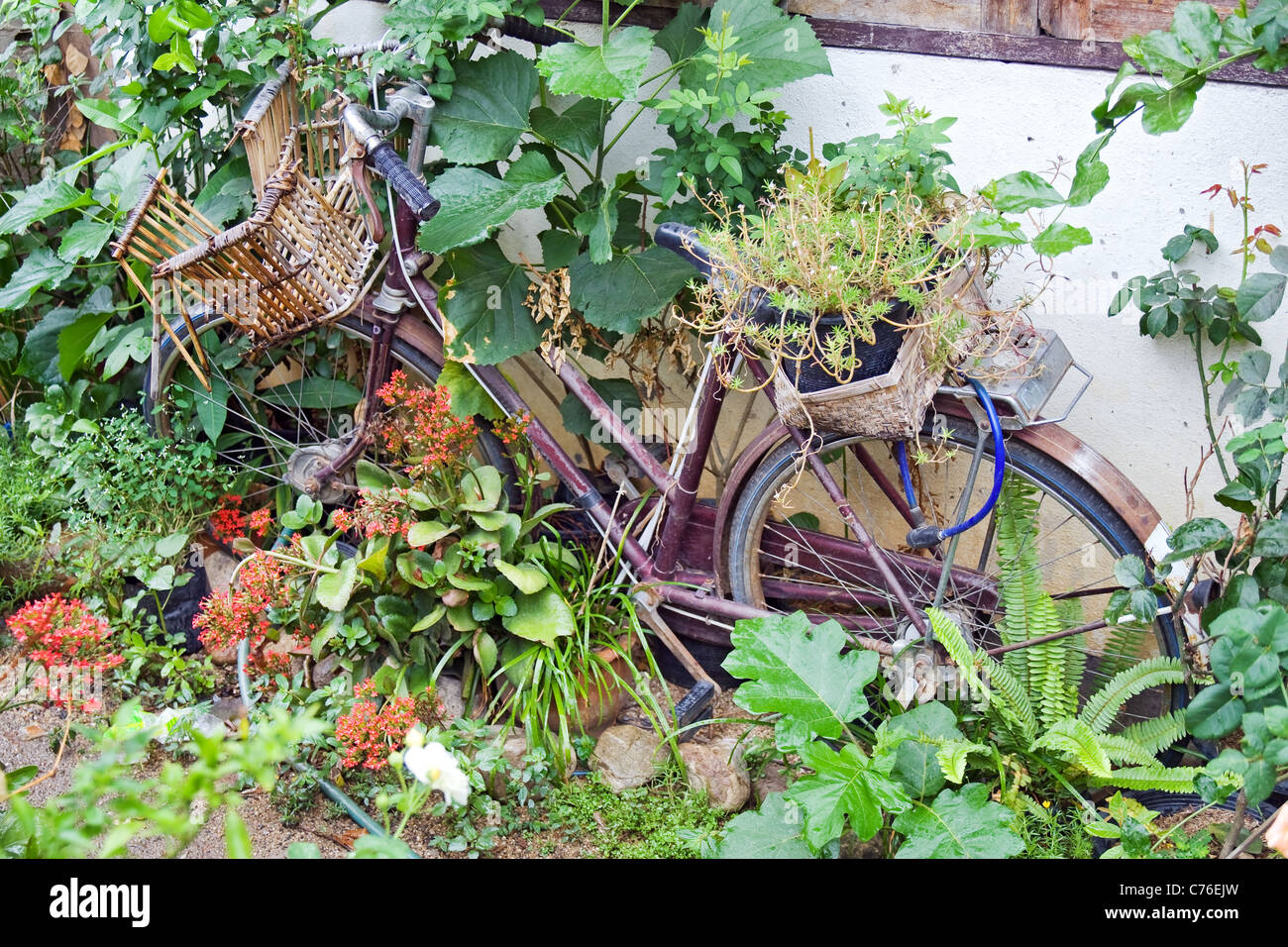 Old bicycle in the garden Stock Photo Alamy