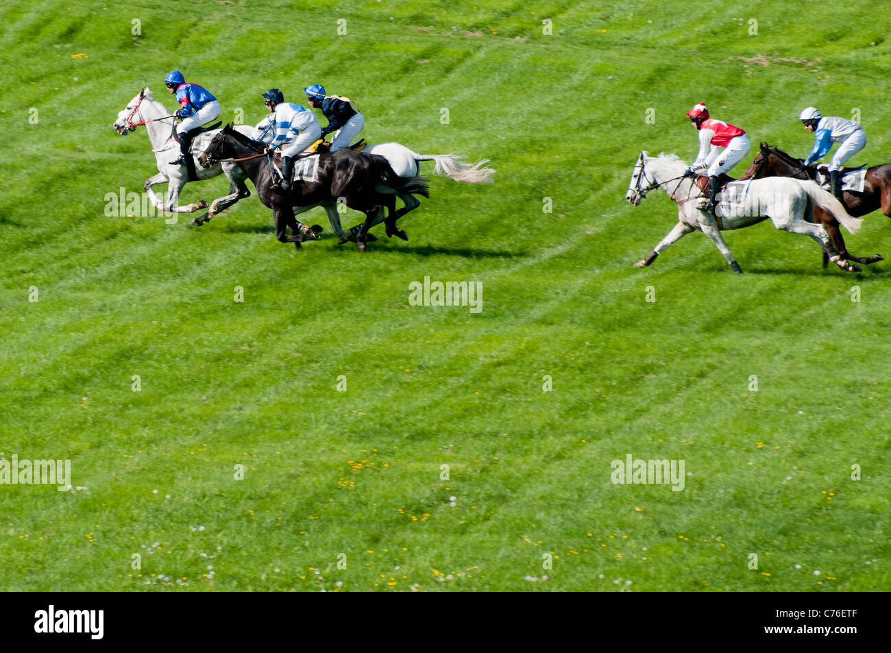 steeplechase horse race in Pardubice, Czech republic Stock Photo