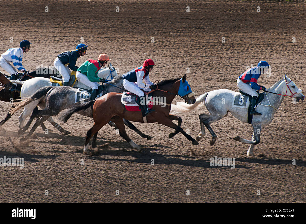 steeplechase horse race in Pardubice, Czech republic Stock Photo