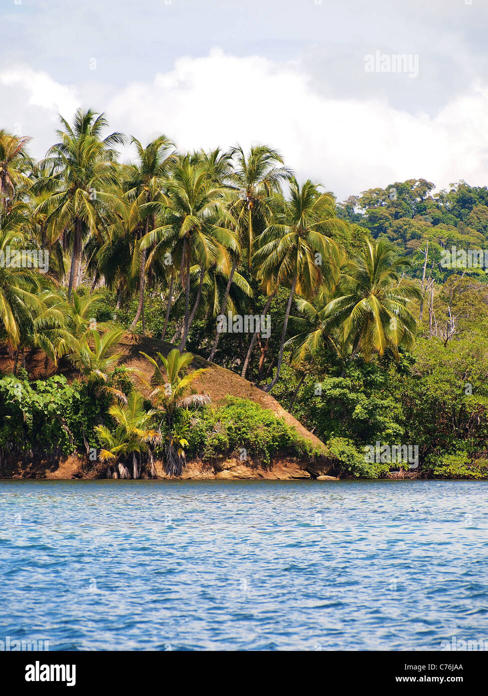 Coast with coconuts trees in Bocas del Toro, Central America, Panama Stock Photo